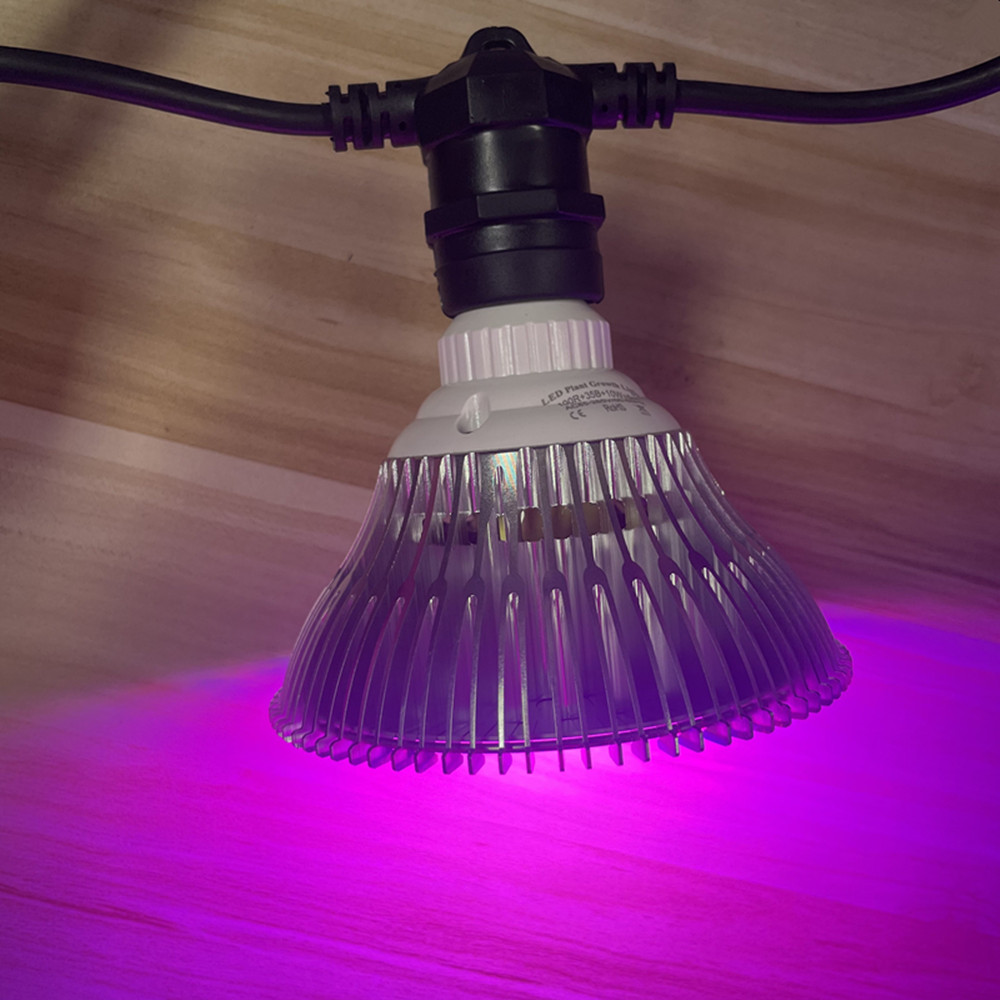 10M Cable LED String Commercia - Outdoor Lighting Gazebo のレビューと価格